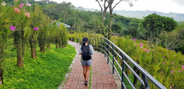 Cebu Safari Adventure Park - Philippines Biggest Open Zoo