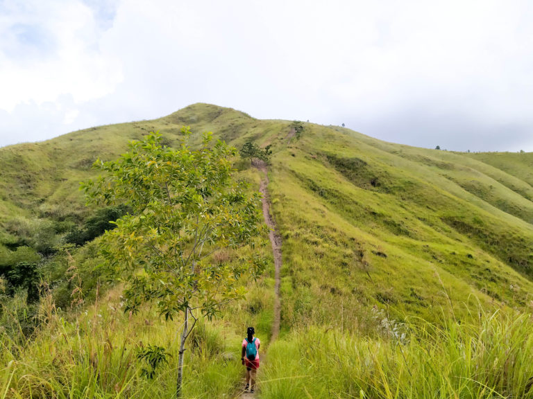 The Alicia Panoramic Park (TAPP): Hiker's Paradise