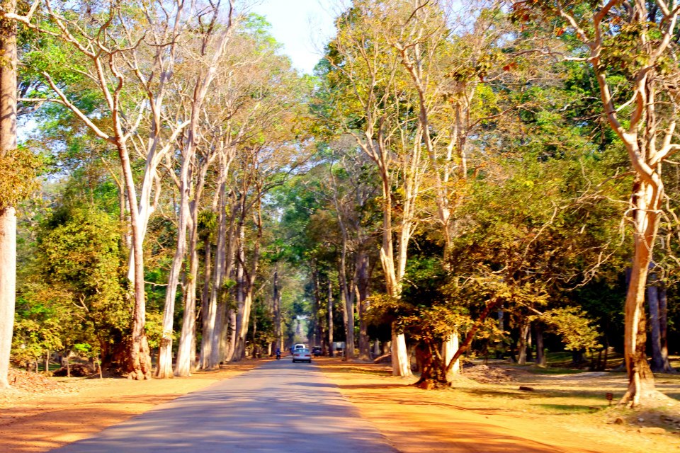 The Ancient City Siem Reap Cambodia